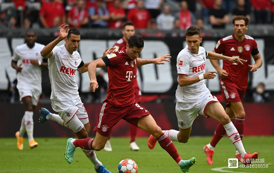 门兴格拉德巴赫球员助战施工，展现团队力量的简单介绍